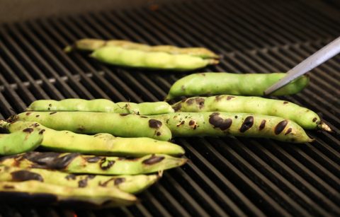 close up of fava beans on the grill