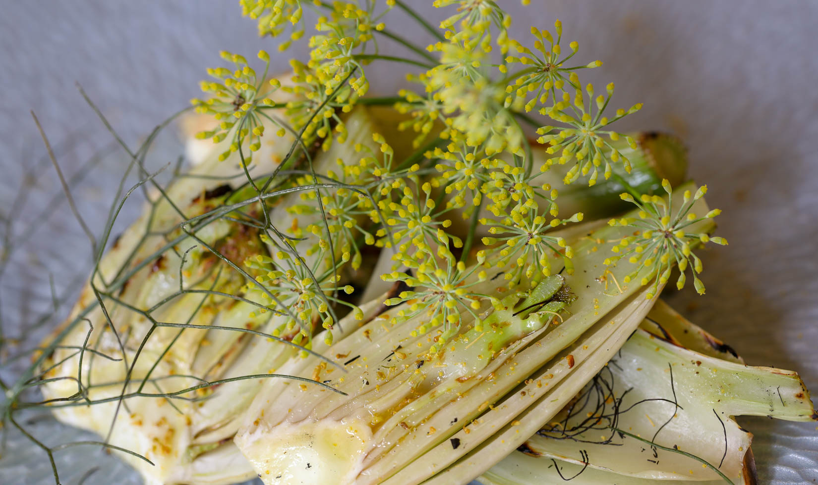 How to use fennel: Flowers serve as a garnish