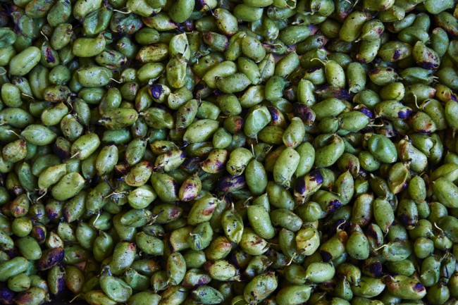 garbanzo beans, chick peas, grilled