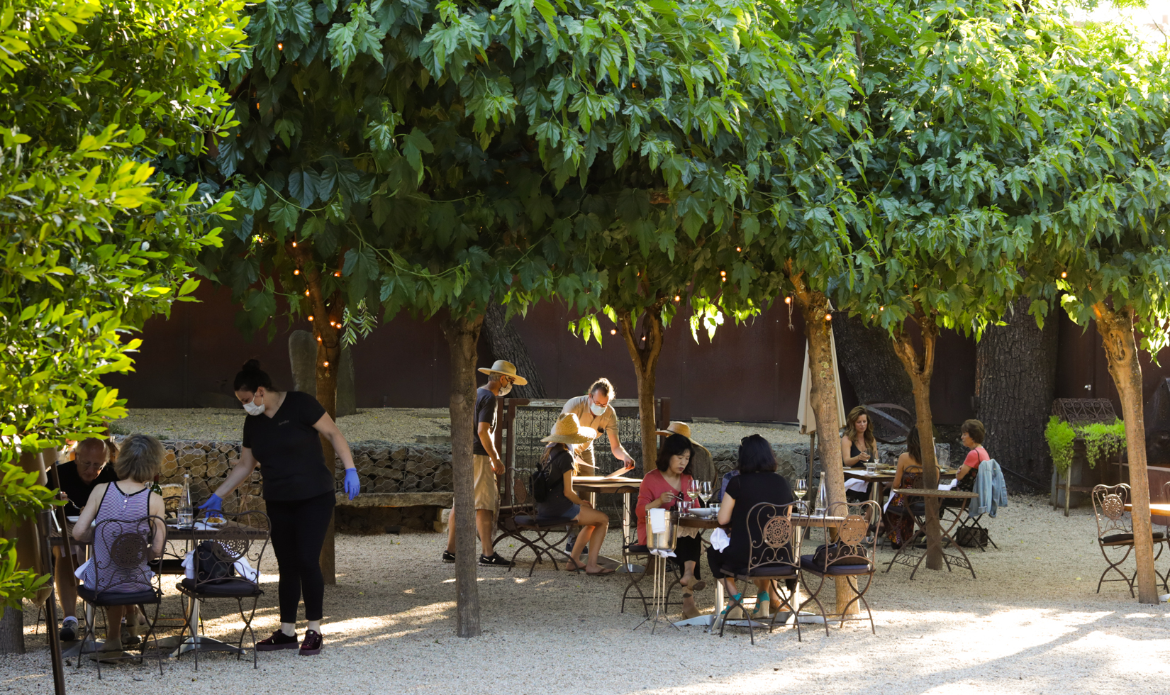 Barndiva Healdsburg Restaurant Open with Patio Seating