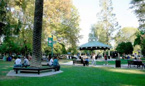 individuals enjoying the Plaza on the Healdsburg Square