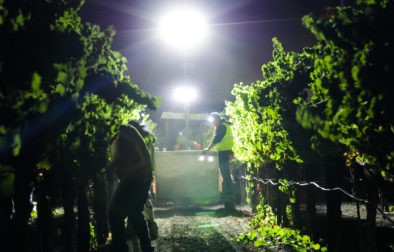 tractor with bright light in the middle of the night in a vineyard
