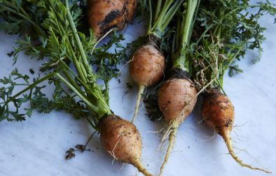 beet roots that have been freshly pulled from the ground