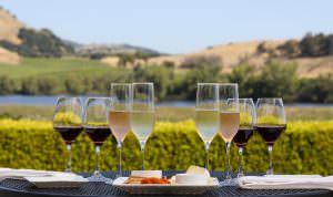 alfresco table setting for wine and cheese tasting with the view from Domaine Carneros terrace in background