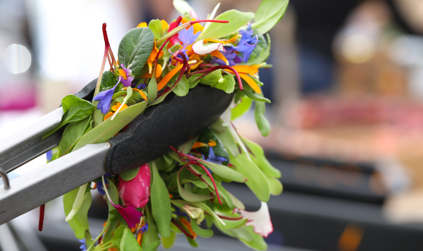 Earthworker Microgreens at Sebastopol Farmers Market