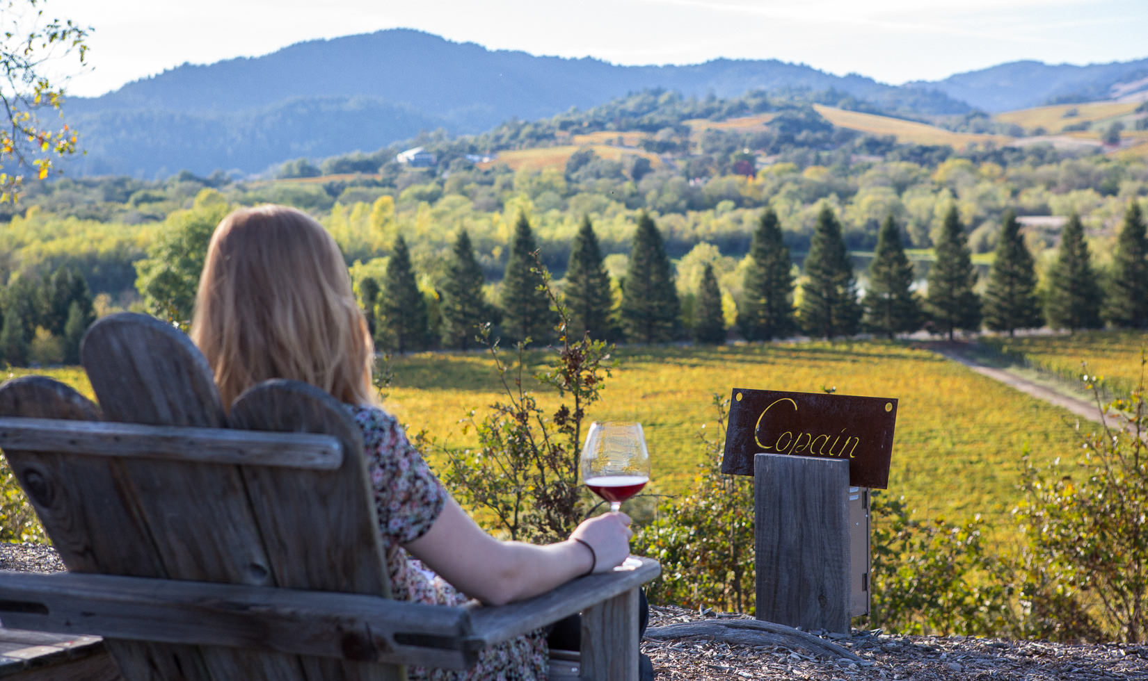 Healdsburg wineries with a view