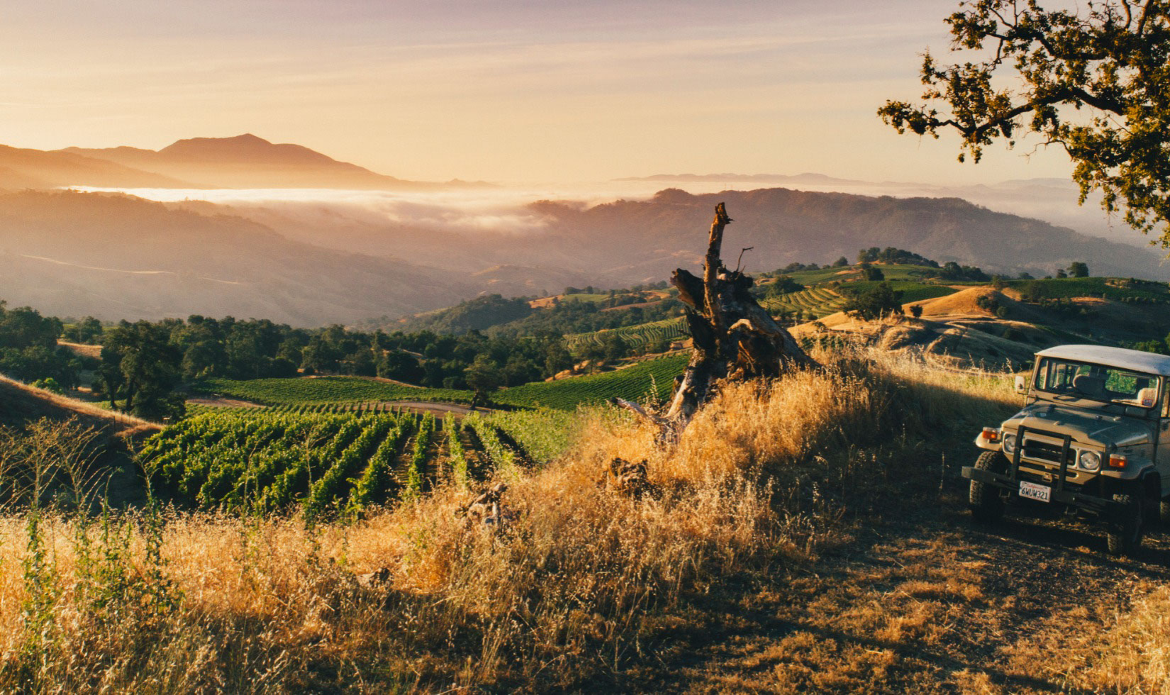 view of alexander vineyards with sun setting in distance and jeep 4x4 vehicle on trail