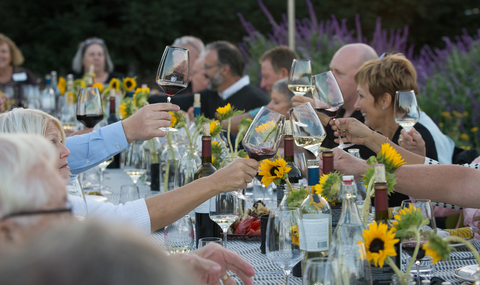 winery dinner, toasting with wine glasses