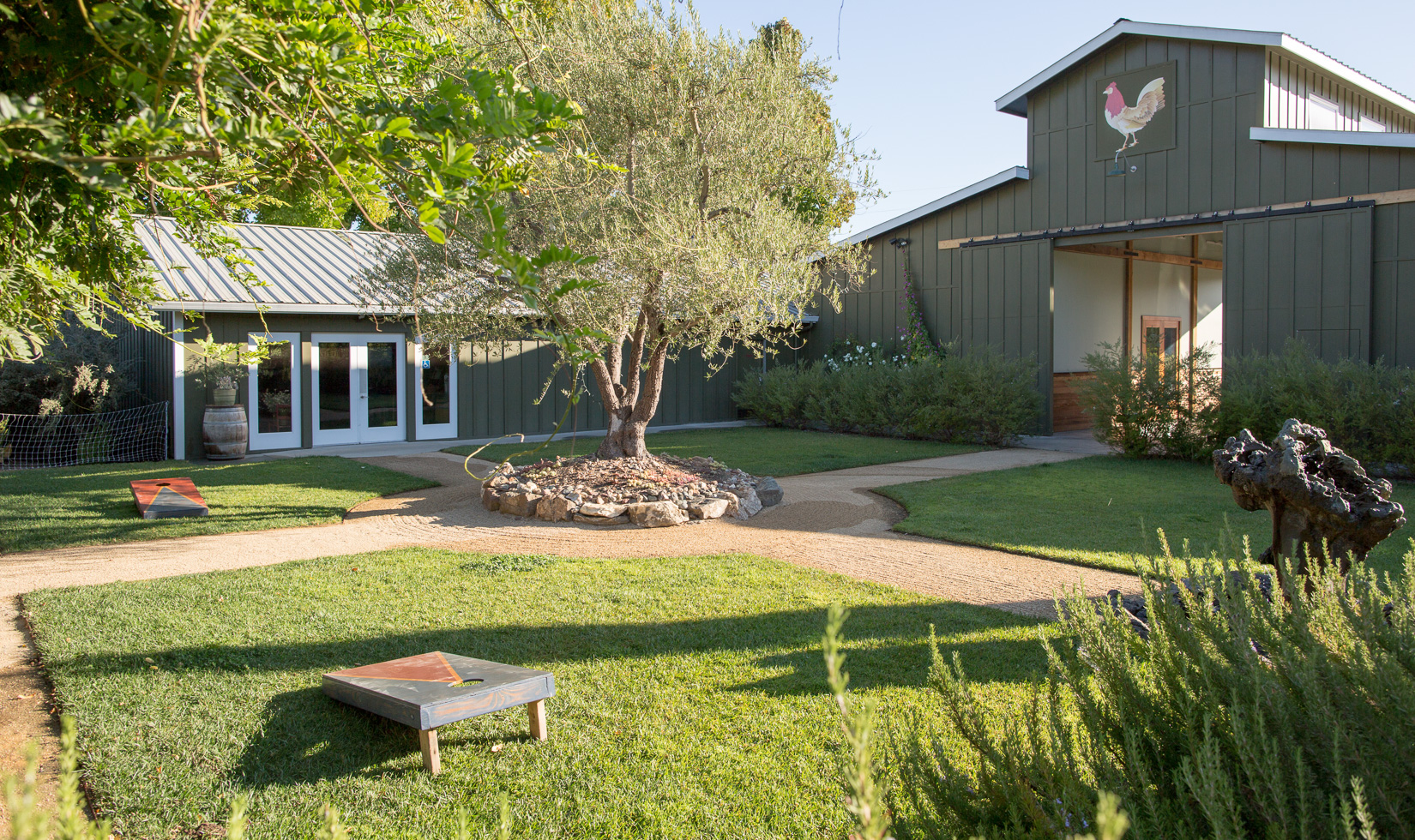 DaVero Farms Winery barn, Sonoma olive oil