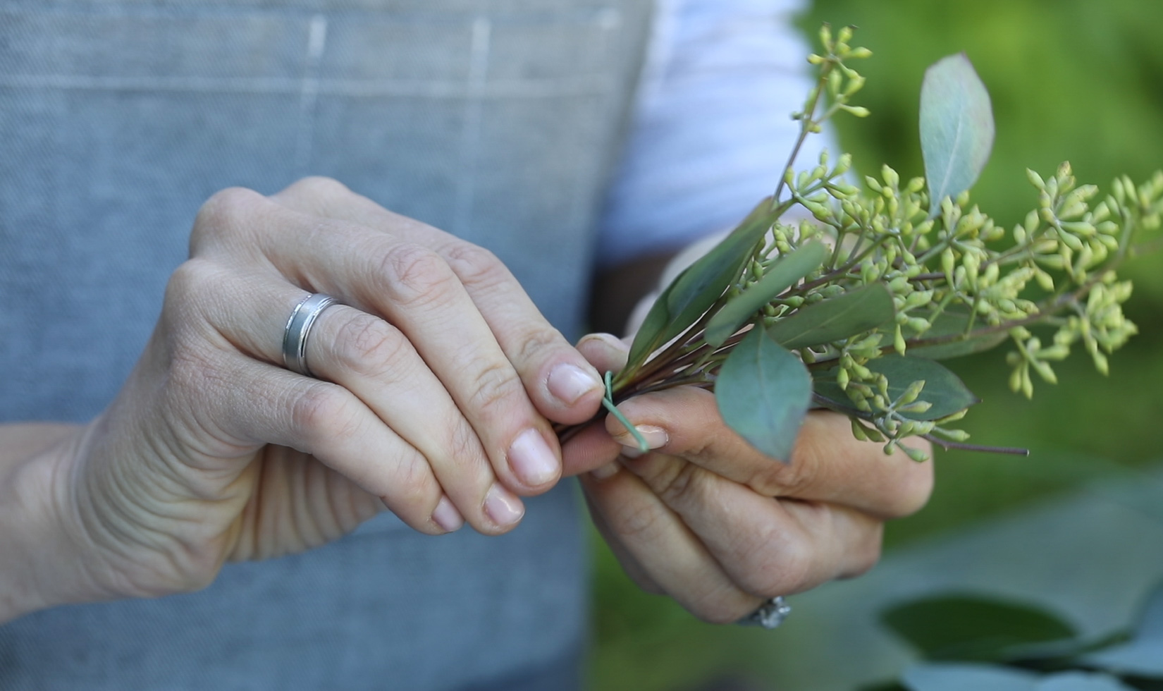 Making the Mini Seeded Eucalyptus Clusters