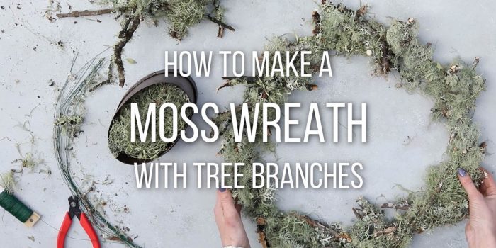 hands holding moss wreath next to gardening tools with image text "how to make a moss wreath with tree branches"