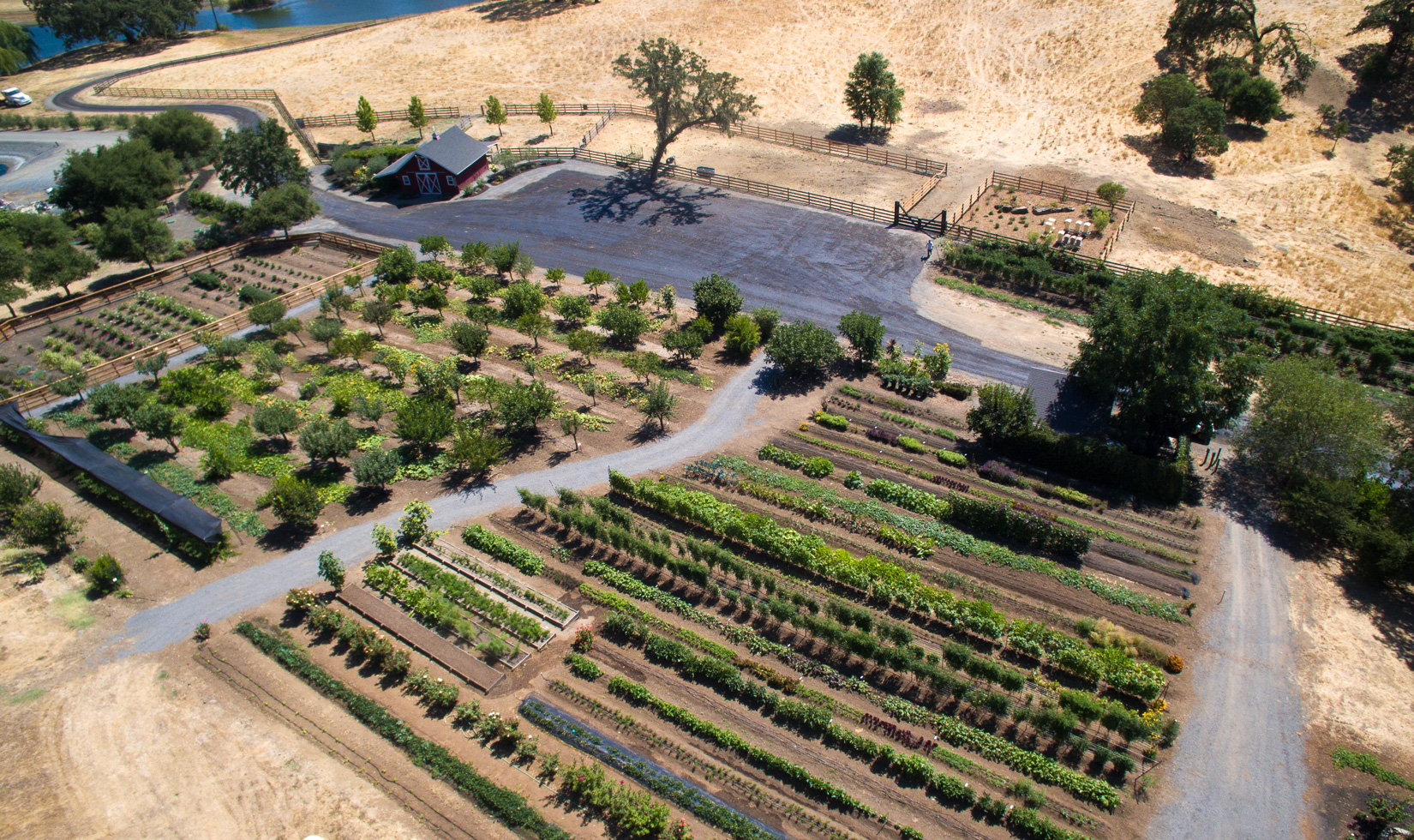 drone photo of garden, aerial view of garden and bee garden apiary