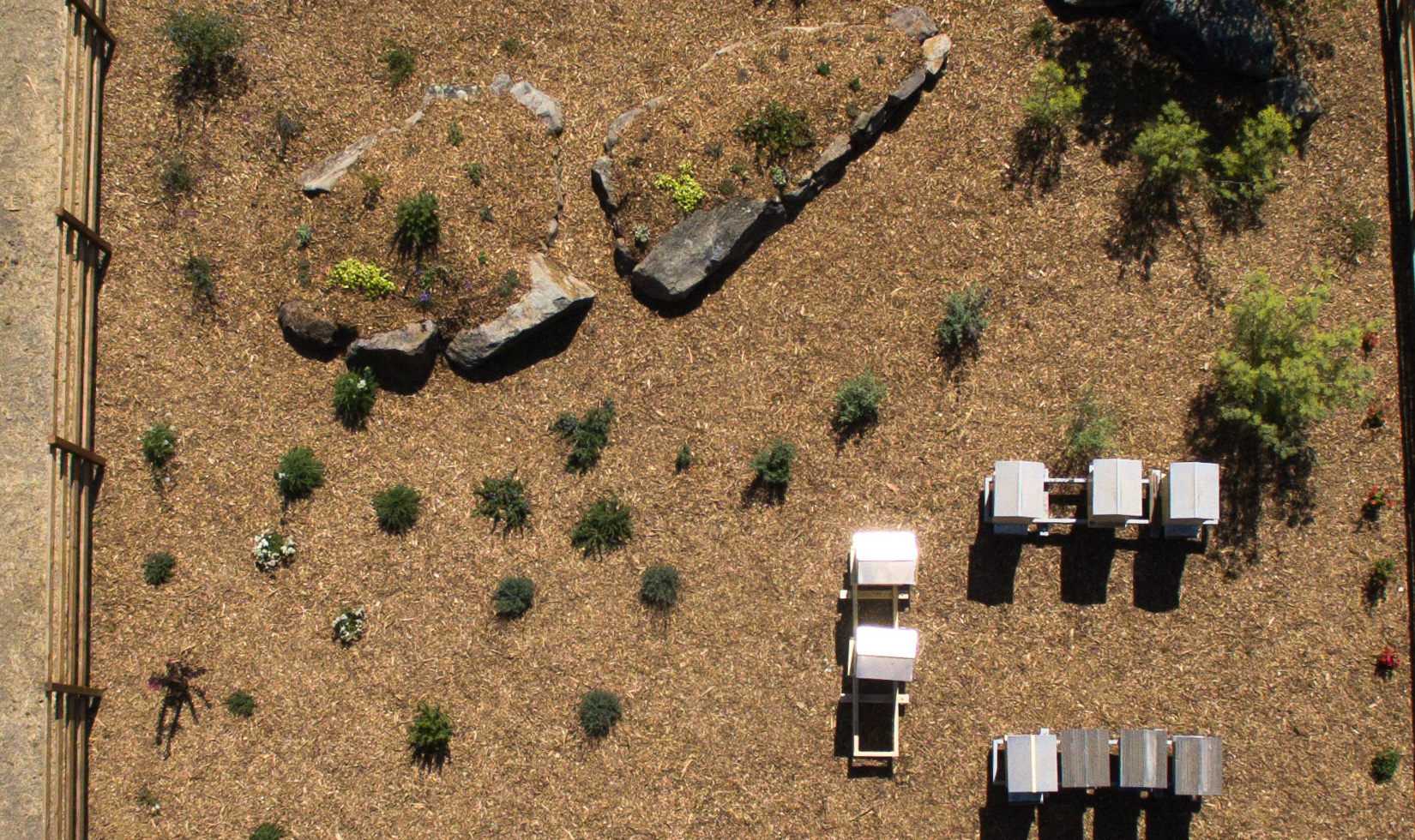 Bee Garden Design aerial view