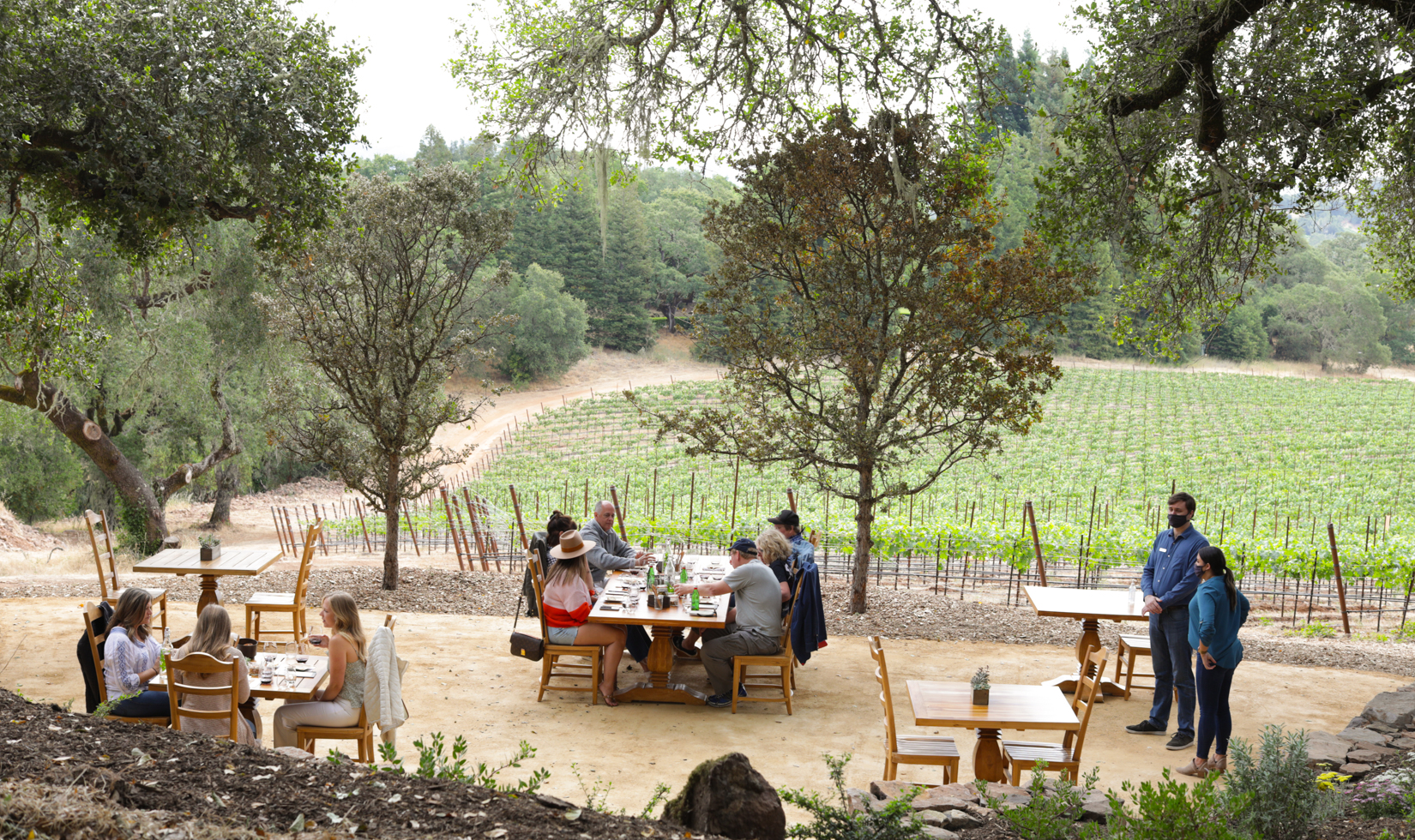 jordan winery outdoor wine and food tasting in sonoma vineyard