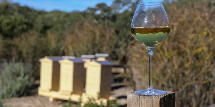 chardonnay wine glass on fence with honey beehives in background