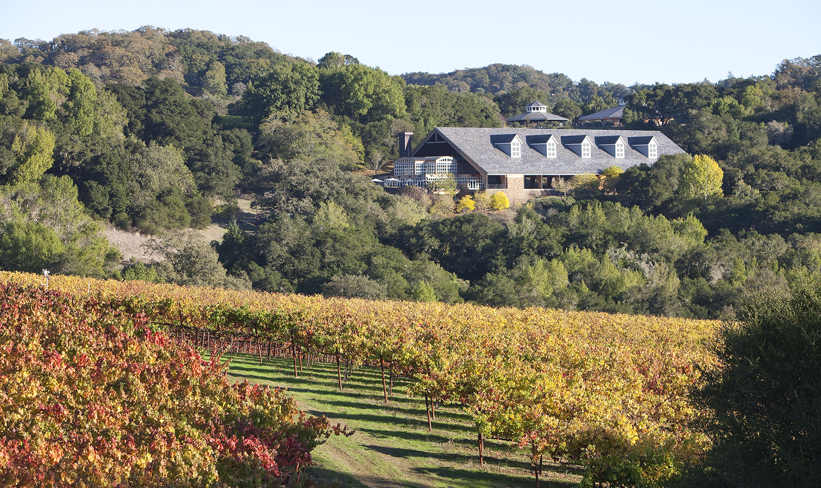 Chalk Hill Estate in fall