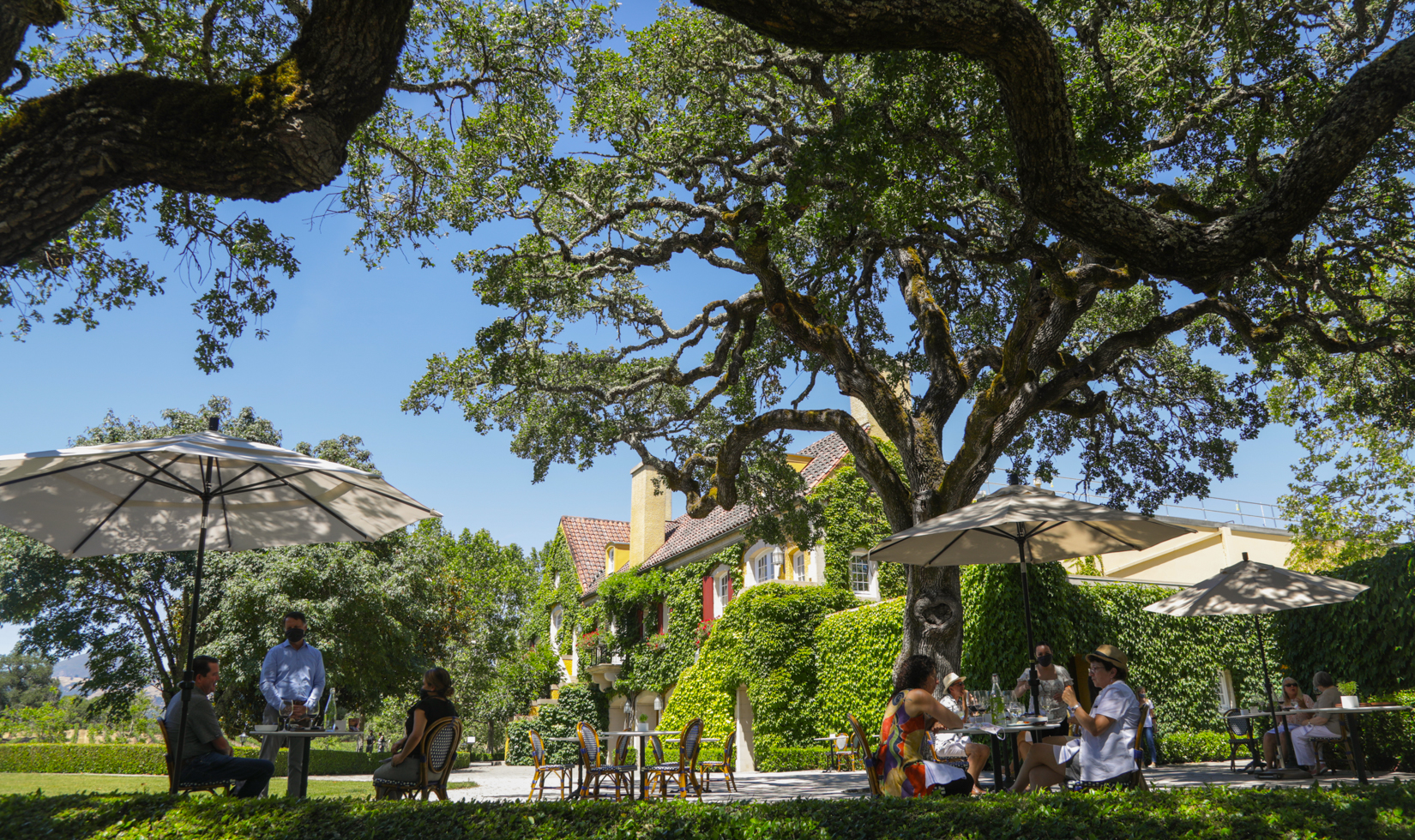 outdoor alfresco restaurant patio lunch