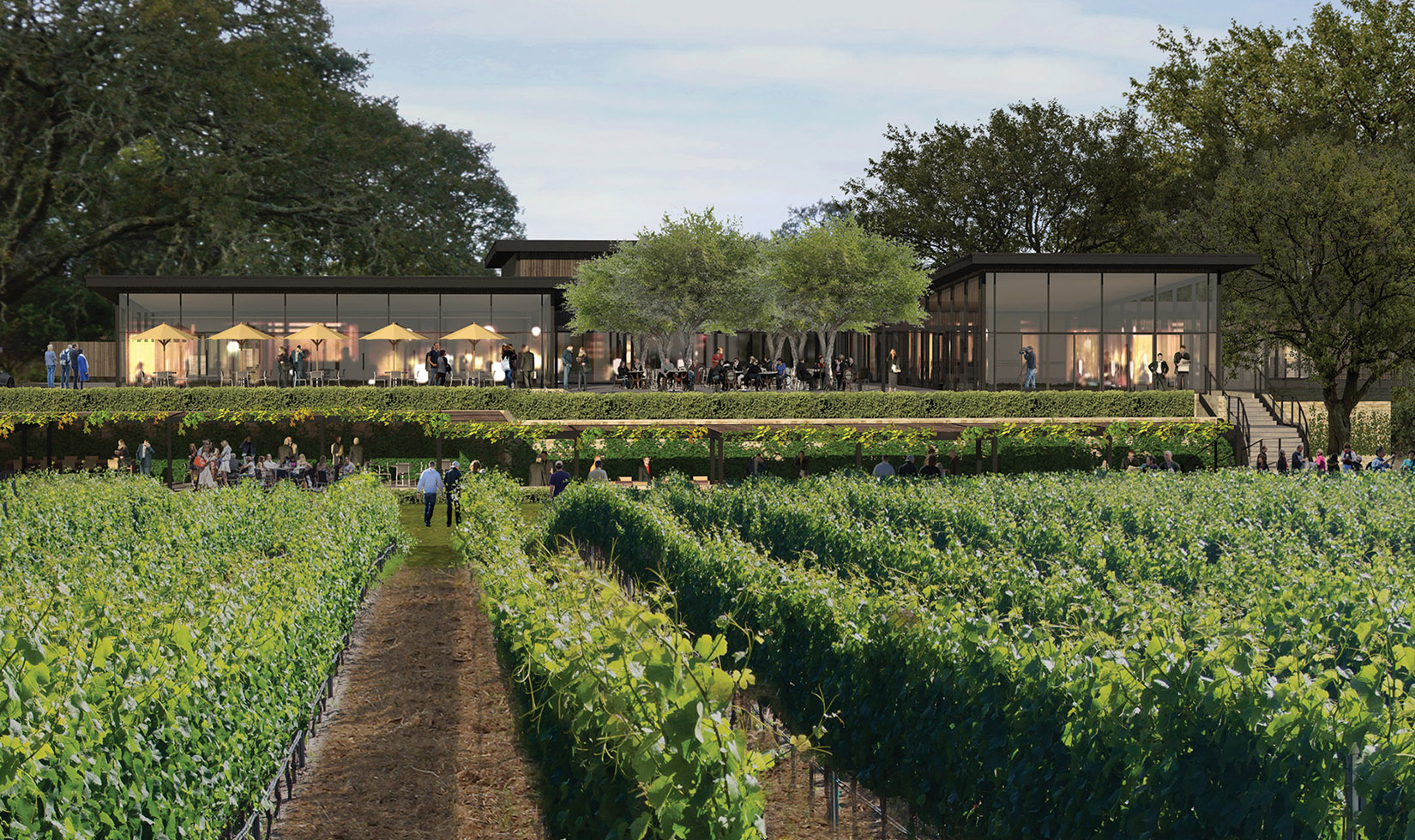 montage healdsburg hotel rendering