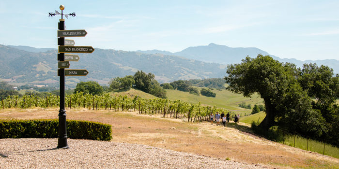 outdoor vineyard hike in sonoma county healdsburg with mountains and vineyard views