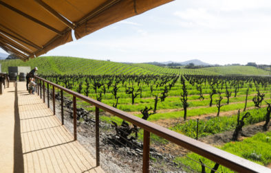 The terrace at Ridge Vineyards overlooking a vineyard in Healdsburg