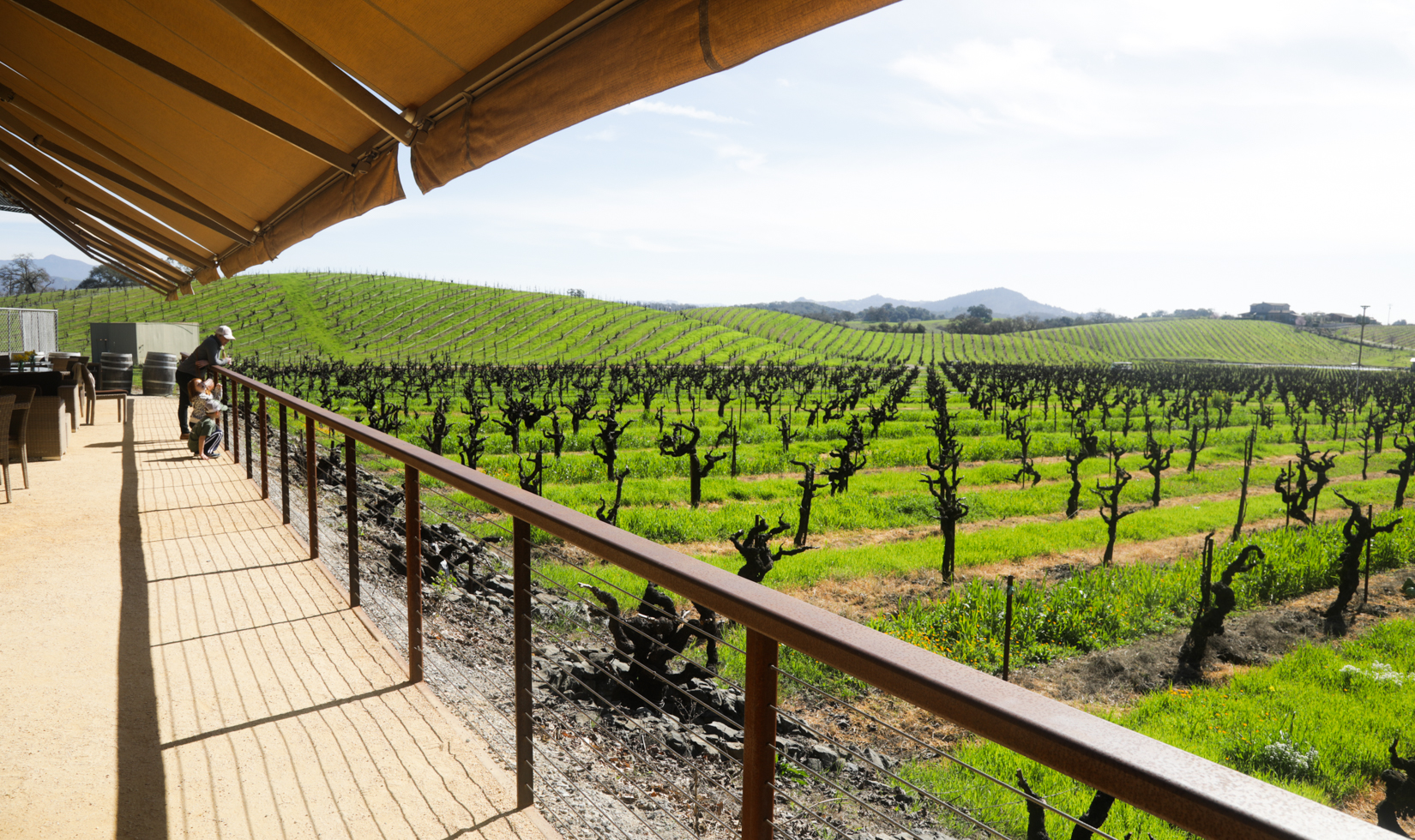 ridge vineyards outdoor terrace in healdsburg 