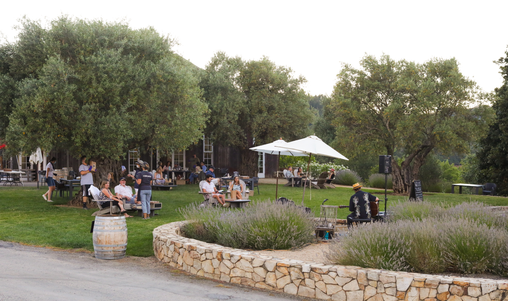 outdoor wine tasting sonoma county healdsburg live music backyard