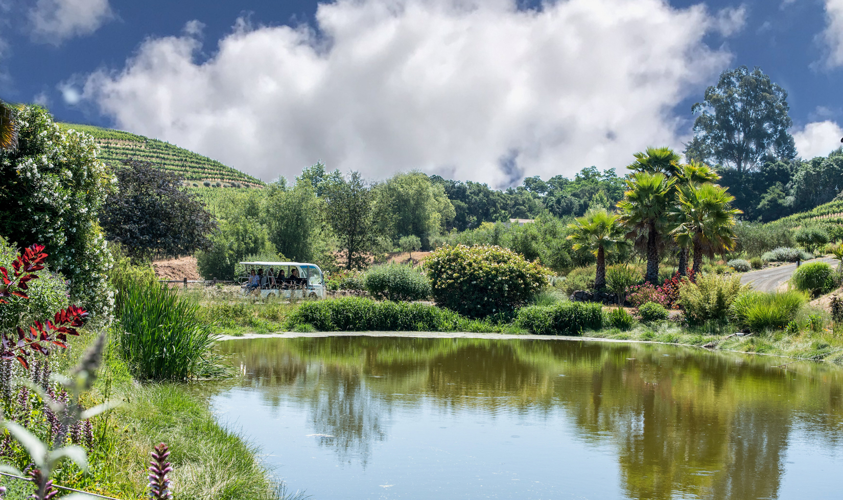 outdoor private wine tasting in sonoma county benzinger winery