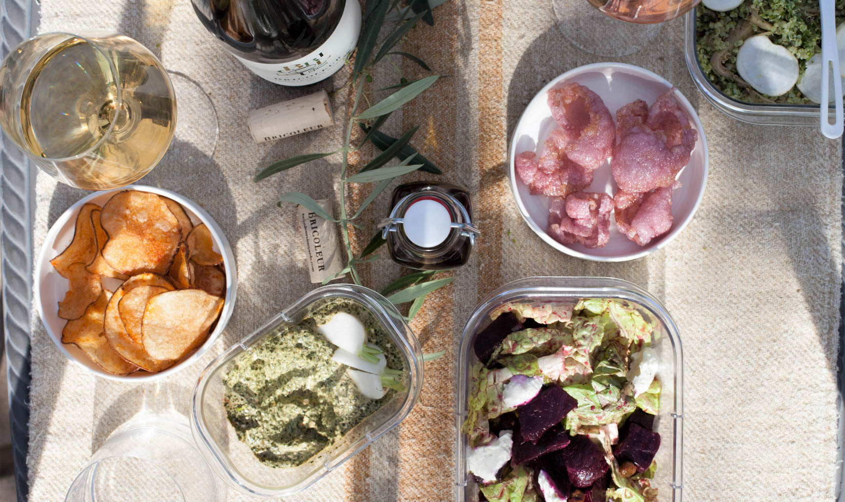 overhead photo of picnic lunch and wine tasting in sonoma county