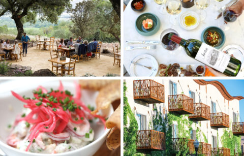 photo collage of sonoma county outdoor food and wine experiences