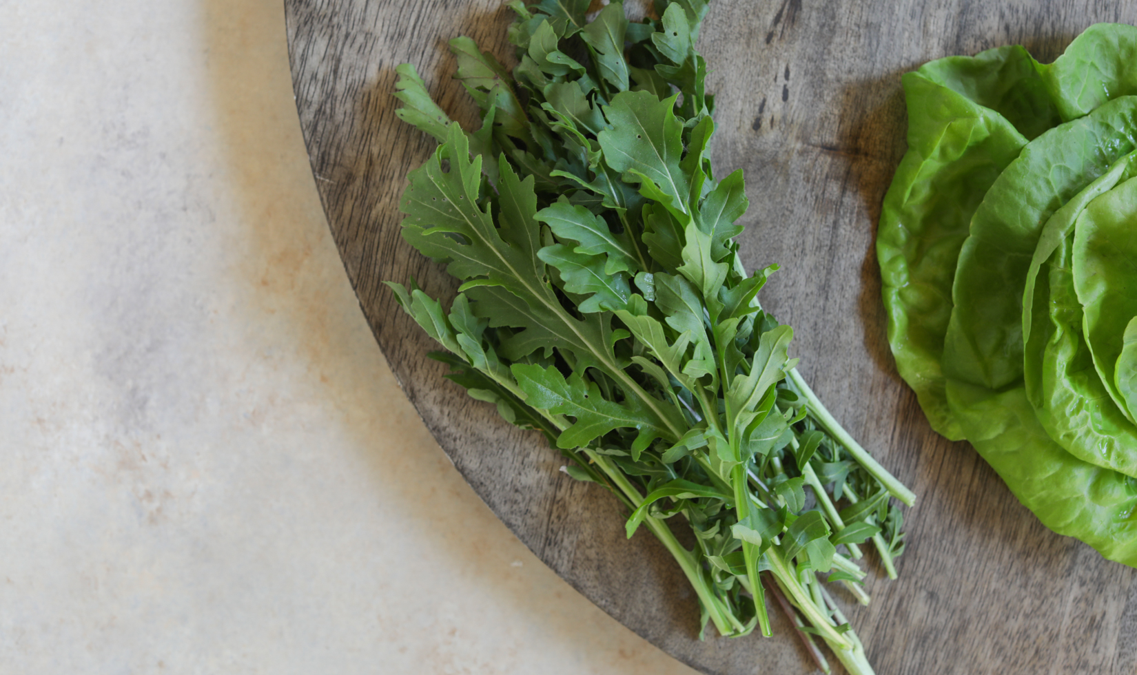 close up french dandelion lettuce leaf