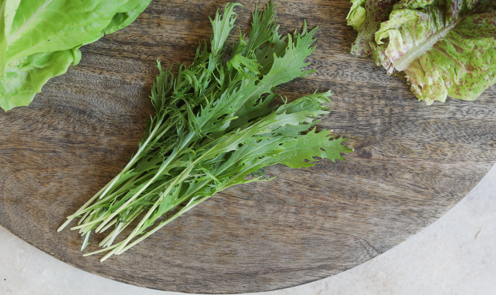 close up of mizuna lettuce leaves