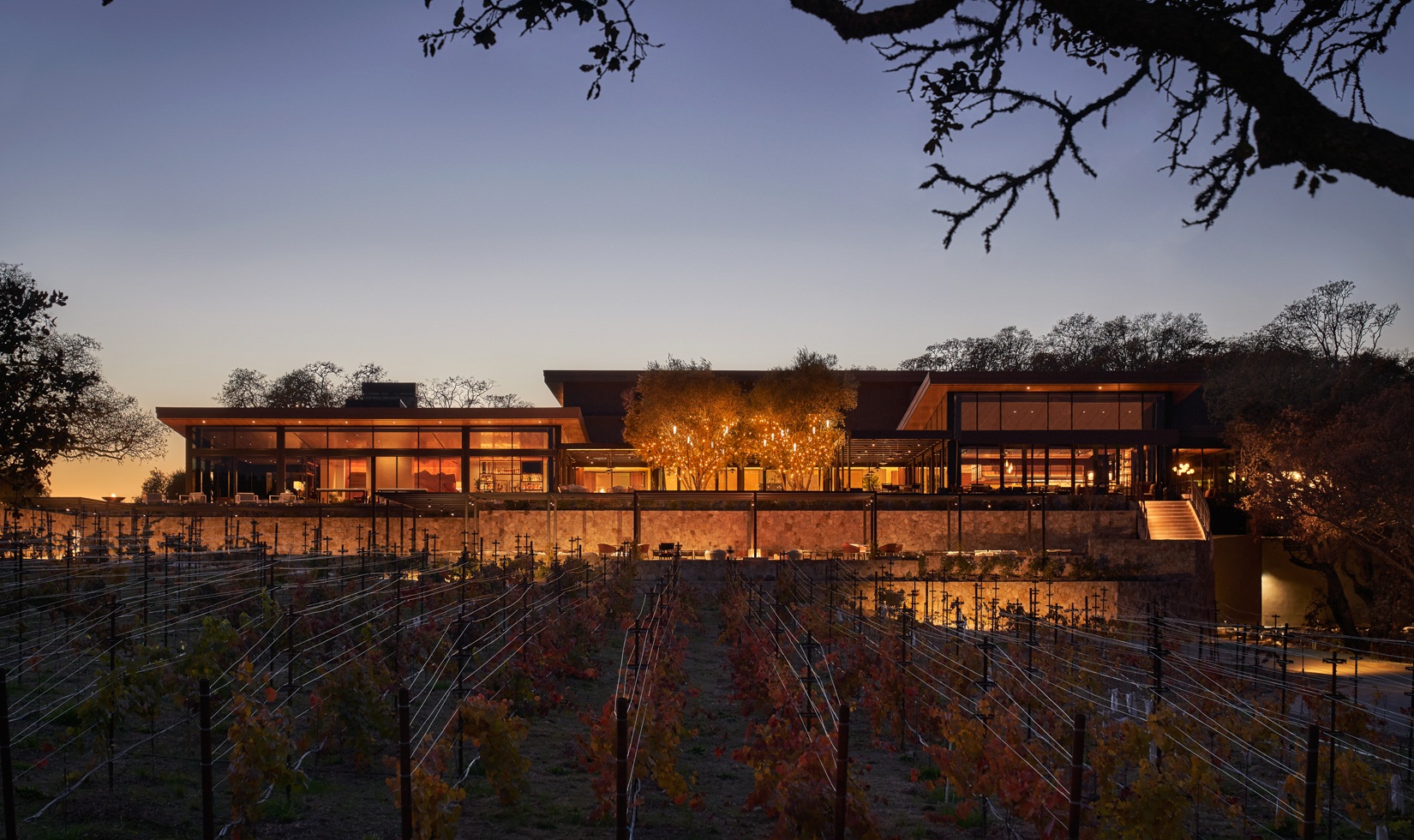 exterior vineyard view of montage healdsburg resort at night 