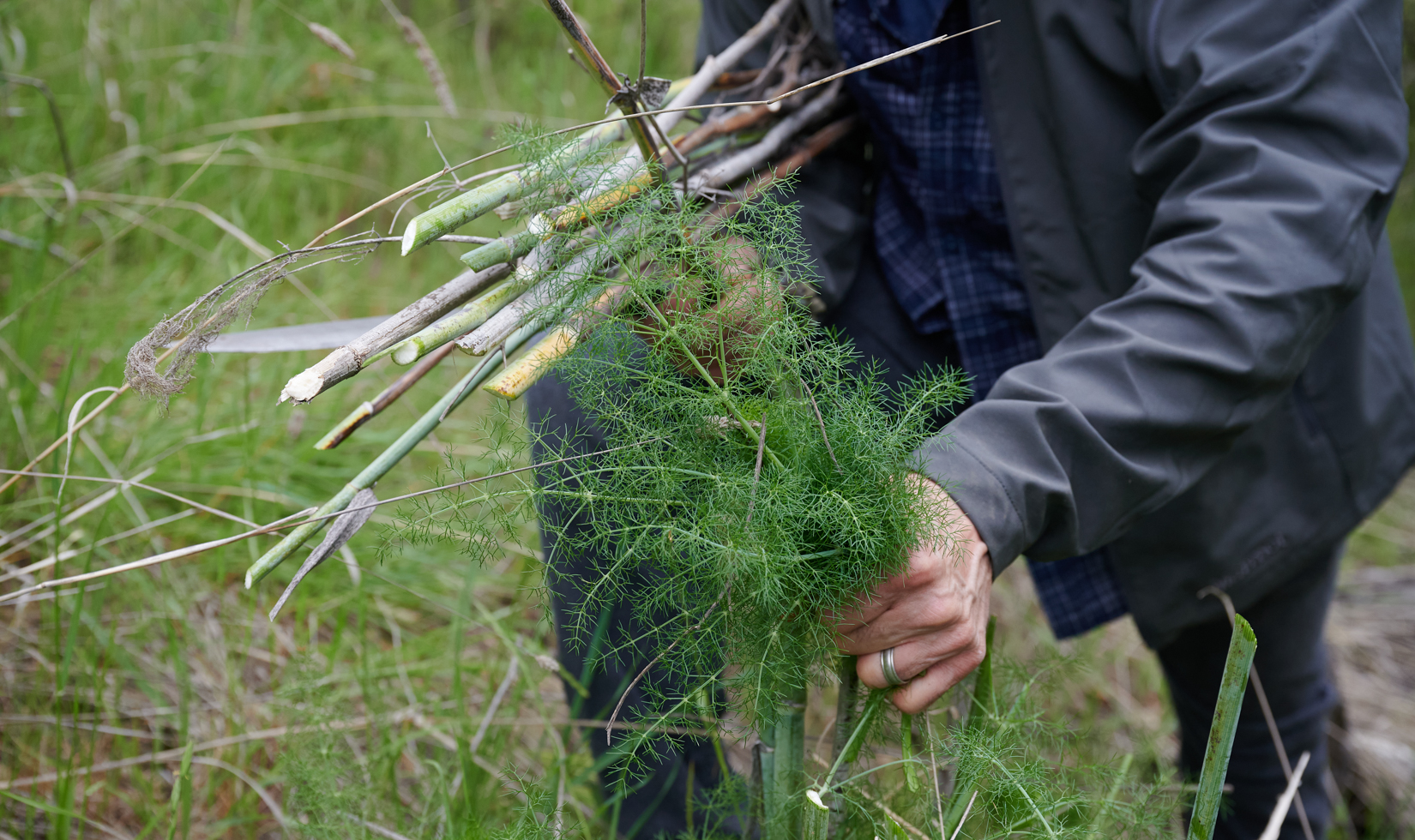 Best Fuels for BBQ and Grilling gathering light wood materials for grilling as featured in Wine Country Table