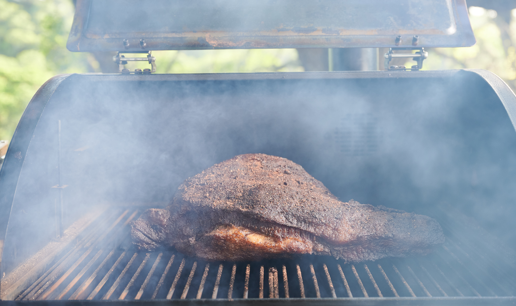 Types of Grills and Smokers perfectly grilled and smoked meat in the griller