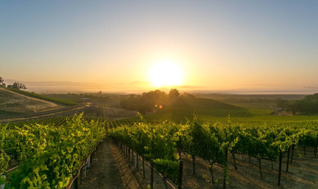 Discover Sonoma County Wineries Map