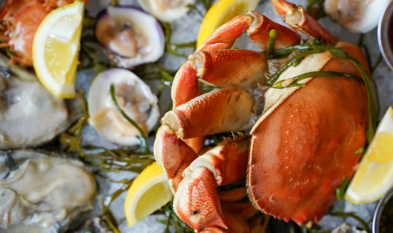 Image of seafood counter with crab and oysters on ice