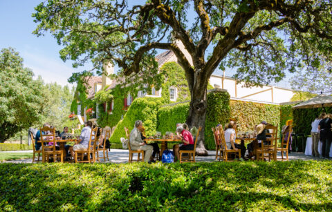 guests sitting at wooden tables on winery terrace under large oak tree and chateau building in the background