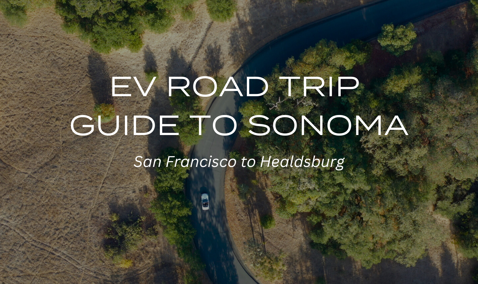 white text overlay on aerial view of a white car driving through road near oak trees
