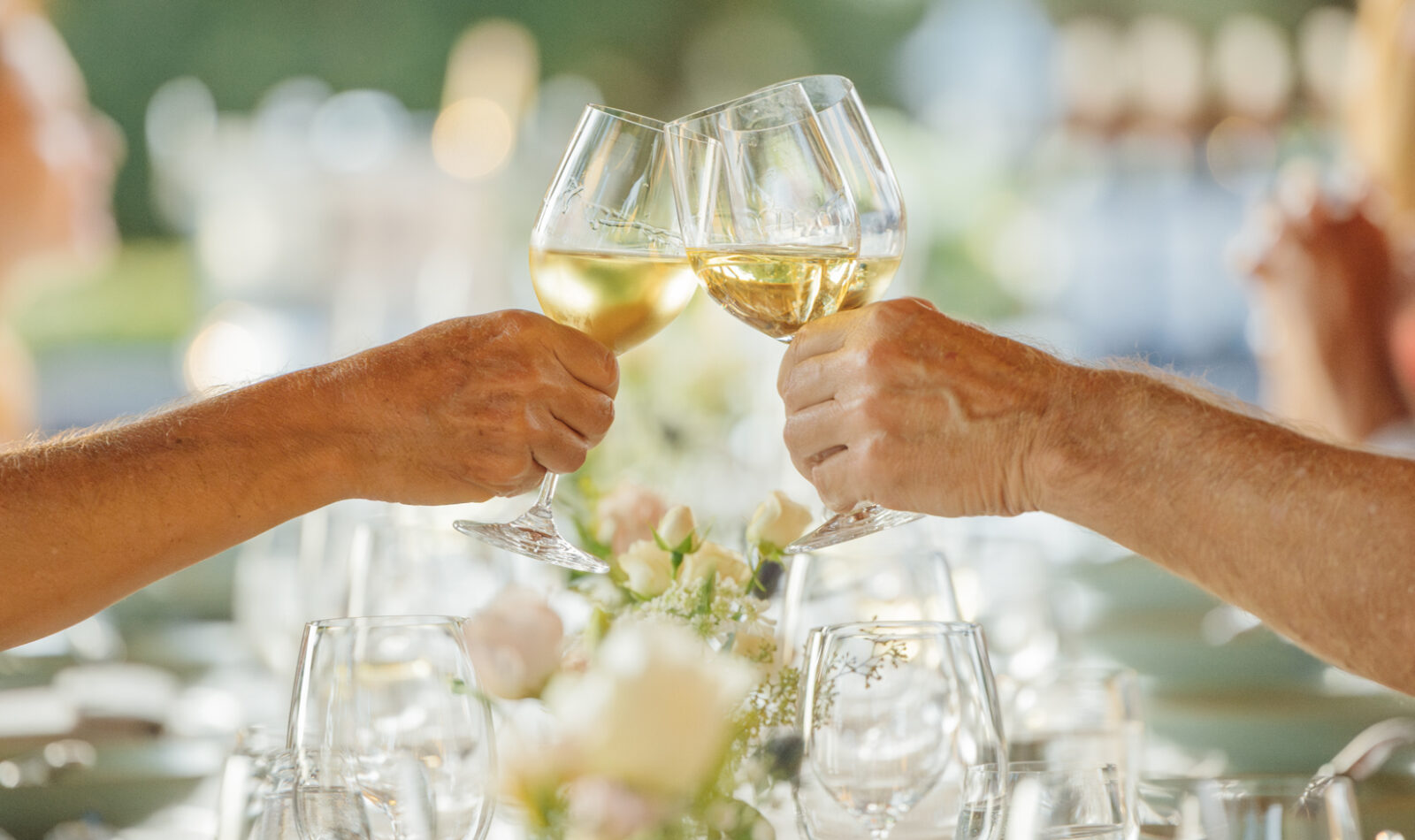 group of wine glasses toasting around an outdoor dinner table