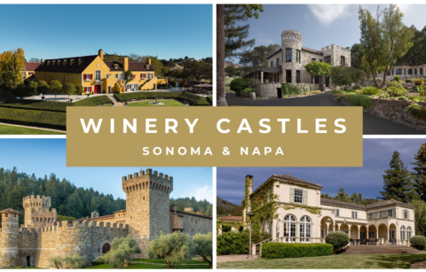 collage of four chateaux and castles in wine country