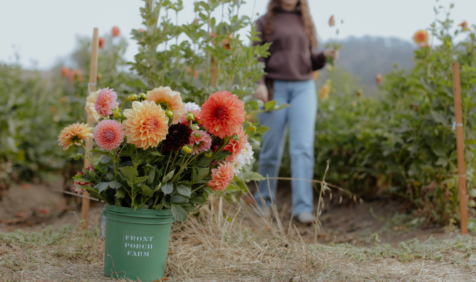 a variety of flowers in a bucket labelled front porch farm at the end of a flower garden row