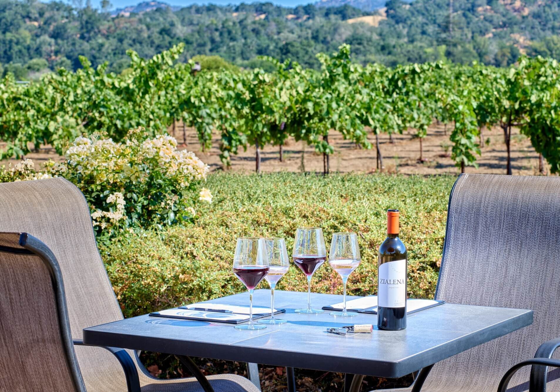 outdoor table in middle of vineyard with glasses of wine 