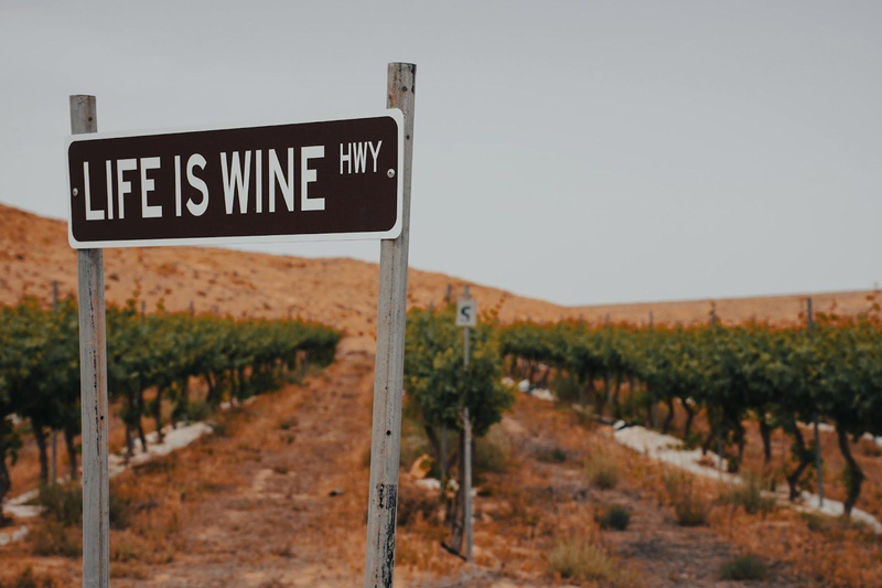 Life is Wine Highway sign with vineyard in background